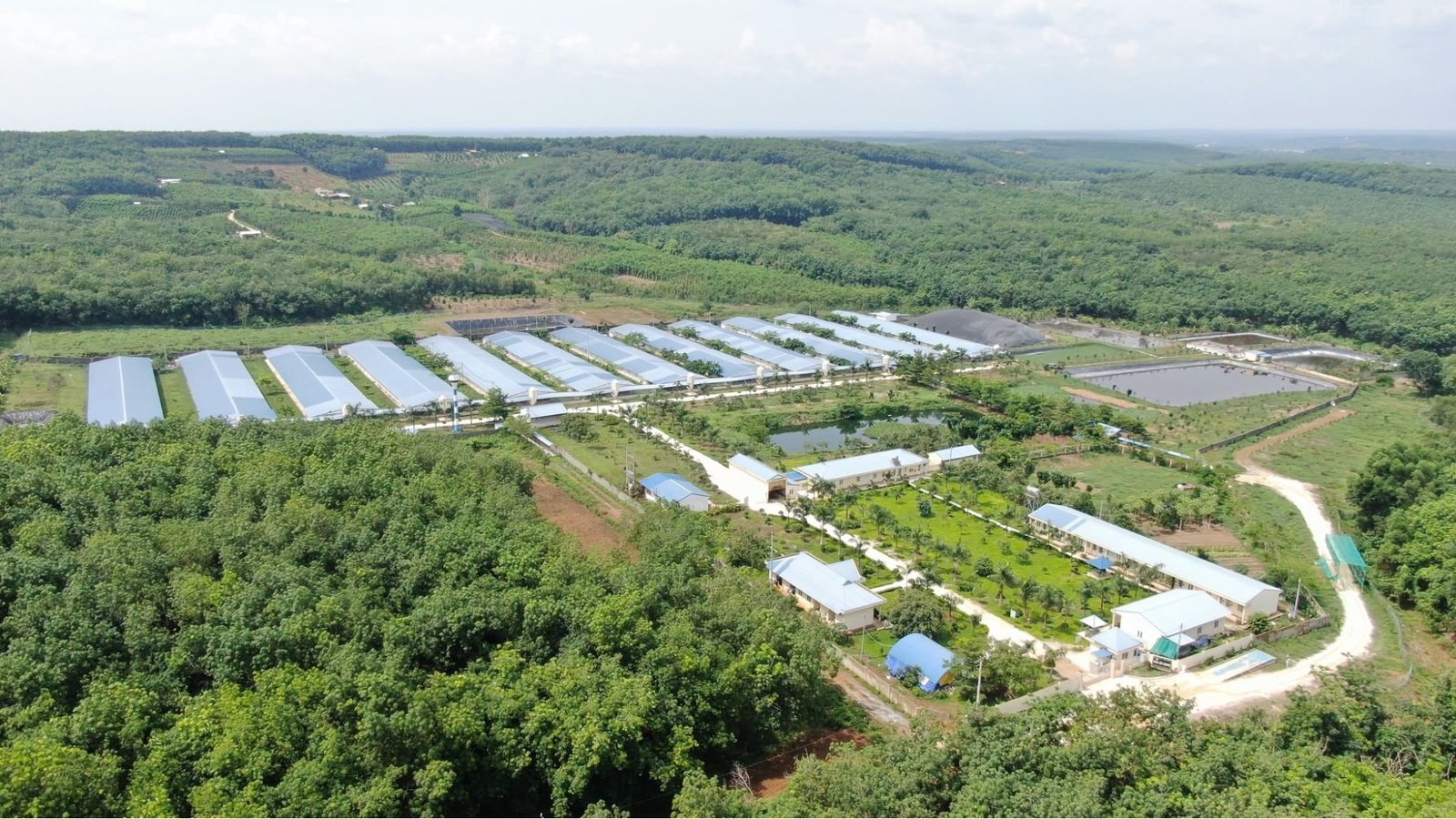 Trang trại theo hướng kiểm soát an toàn sinh học trong chăn nuôi