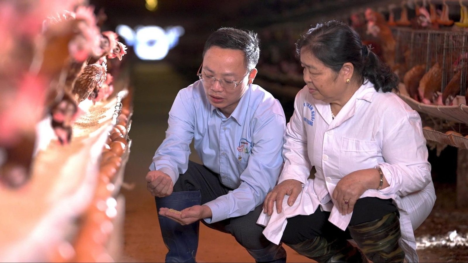 Hoạt động chuyển giao công nghệ trong nông nghiệp để phục vụ sản xuất