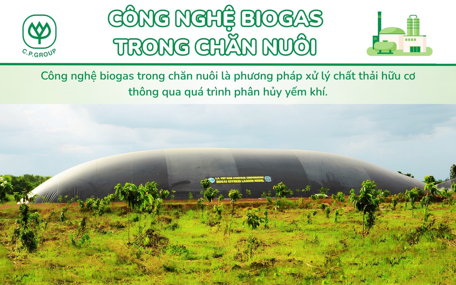 Công nghệ Biogas là gì? Ứng dụng của Biogas trong xử lý chất thải chăn nuôi