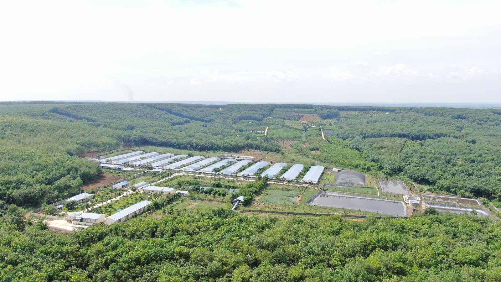 Biogas technology applied at C.P. Vietnam’s livestock farms