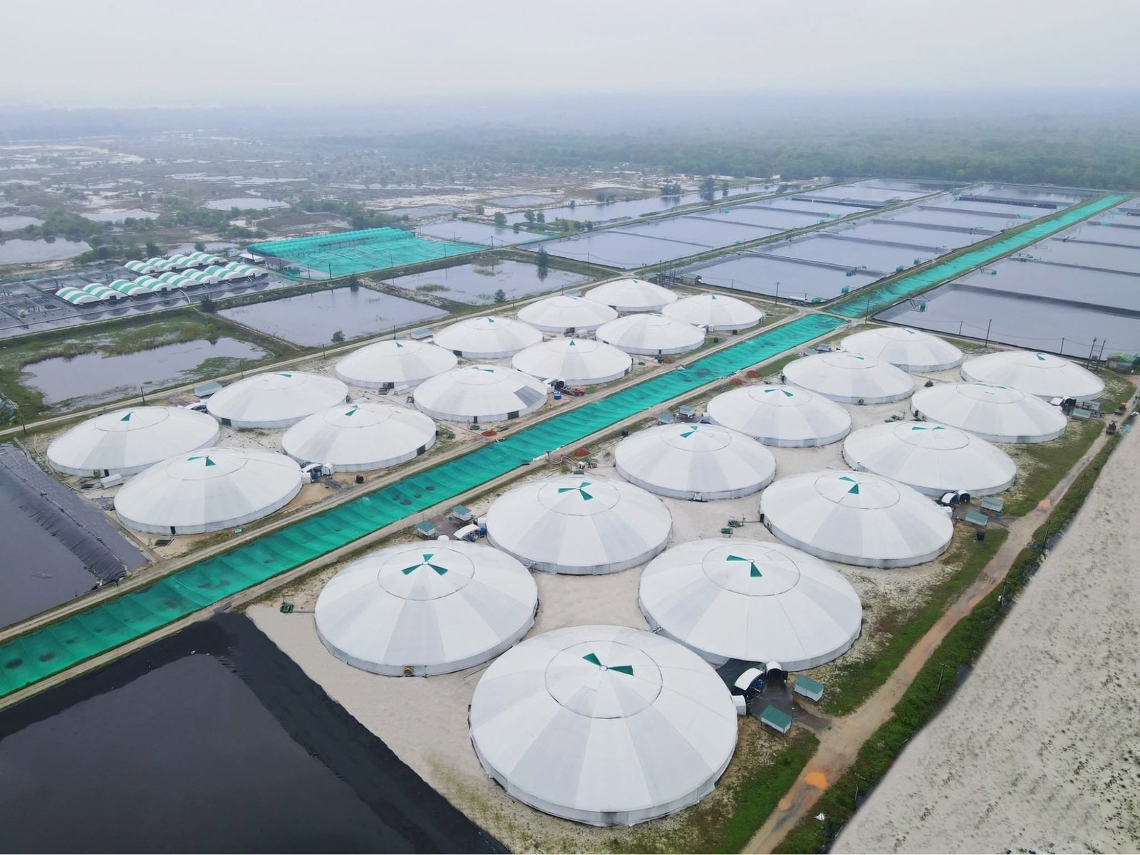 Công nghệ chăn nuôi - Mô hình nuôi tôm công nghệ cao