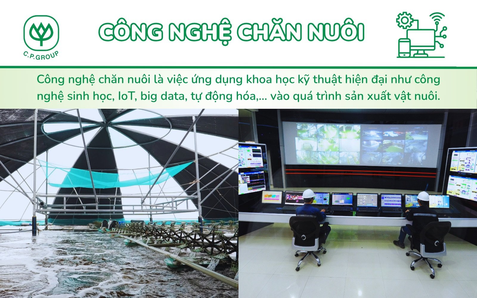 Các công nghệ chăn nuôi hiện đại được ứng dụng tại Việt Nam