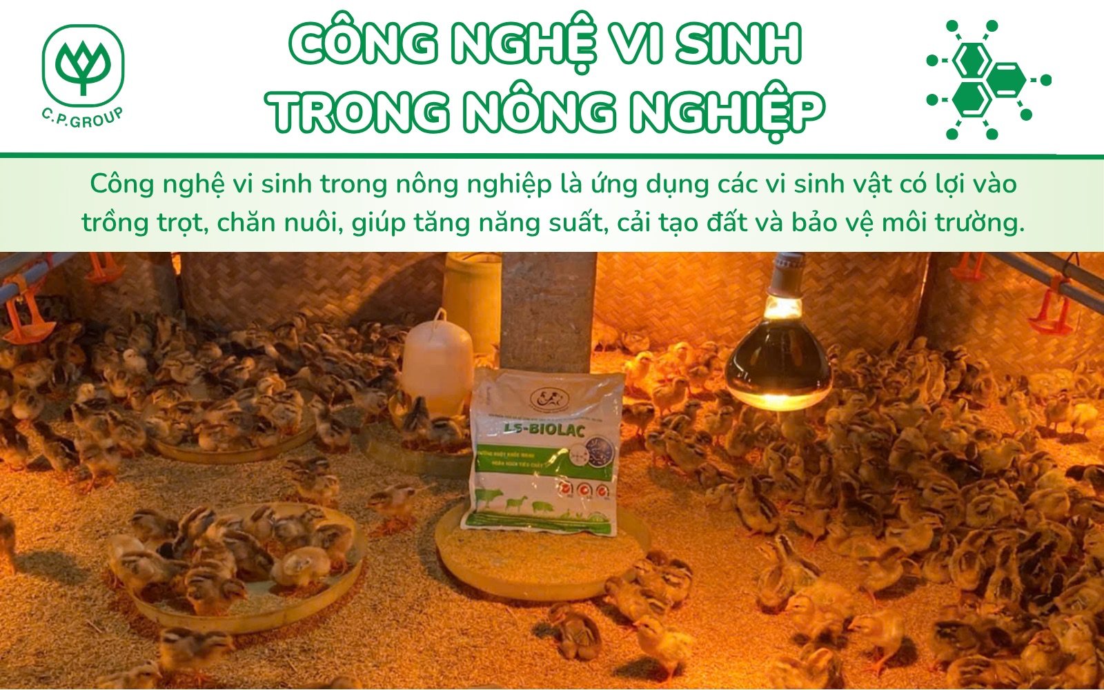 Công nghệ vi sinh vật trong nông nghiệp và các ứng dụng