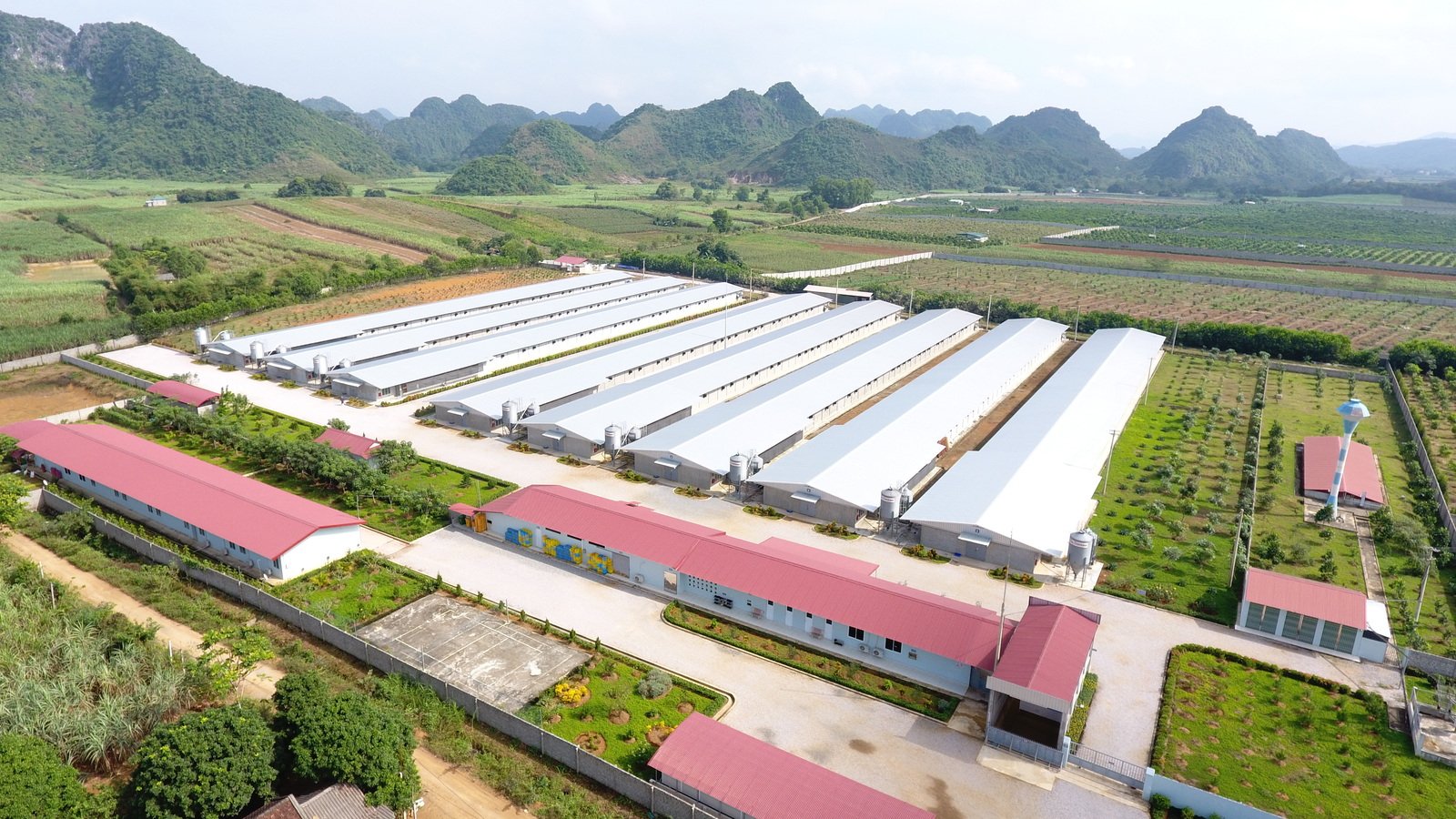 Các đặc điểm của mô hình nông nghiệp hiện đại