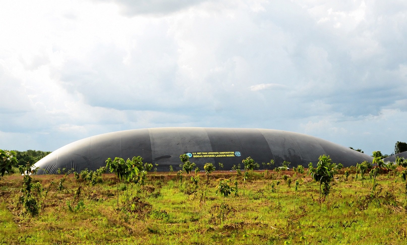 Công nghệ biogas là giải pháp tiêu biểu của mô hình nông nghiệp tuần hoàn