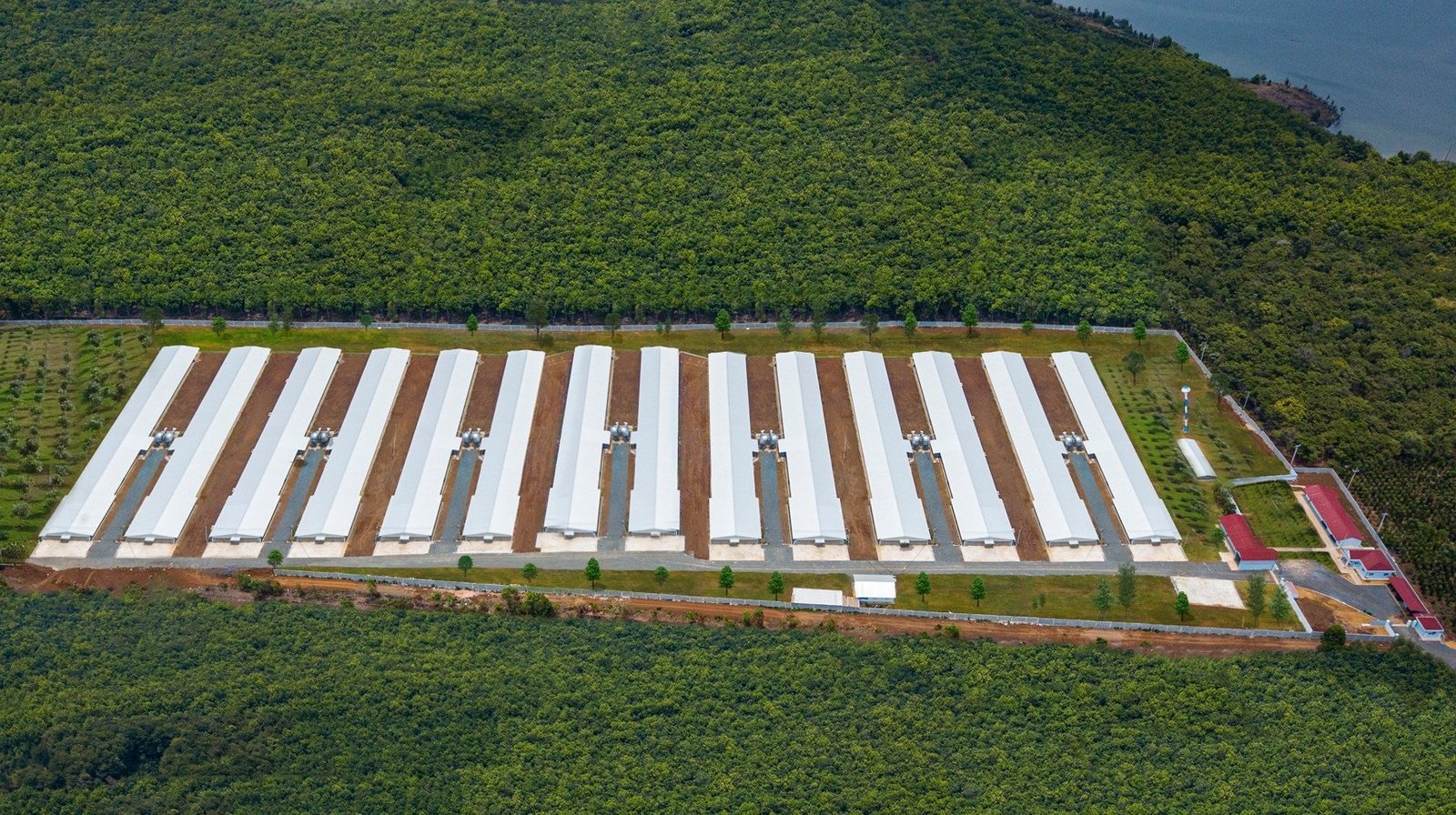 Trang trại công nghệ cao của C.P. Việt Nam vận hành theo mô hình Smart Farm
