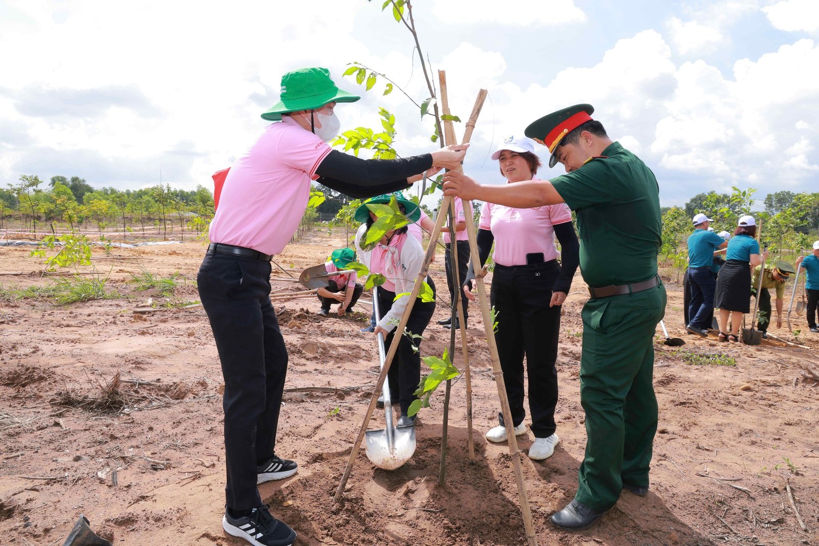 C.P. Việt Nam đồng hành cùng các chương trình trồng cây và phục hồi hệ sinh thái