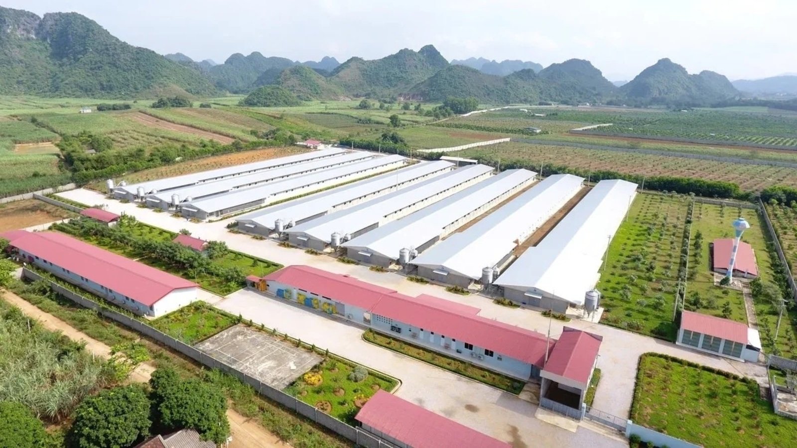 Nông nghiệp công nghệ cao Việt Nam phát triển theo nhiều mô hình