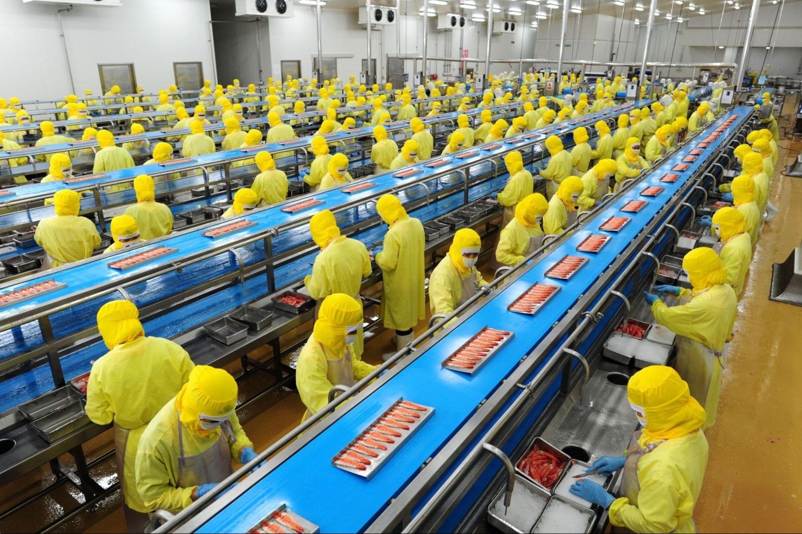 Sản xuất bền vững gắn với chất lượng sản phẩm và niềm tin người tiêu dùng
